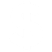 Budget analysis icon
